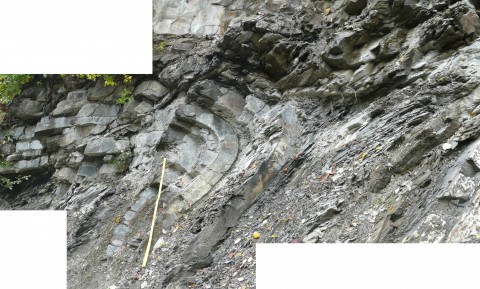 Fold at Riedberg Pass, detail view (left of the traffic sign).  Stick measure for scale, length 1 m.